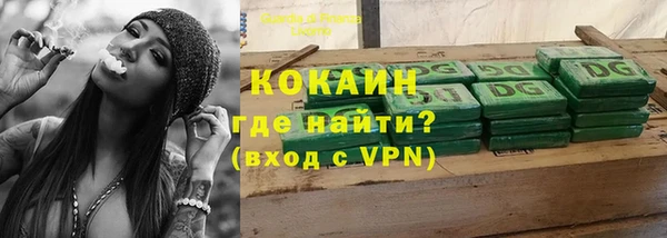 прущие грибы Балабаново