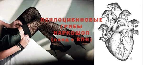 крисы Балахна