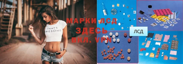 прущие грибы Балабаново