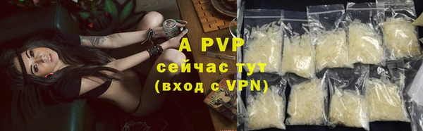 крисы Балахна