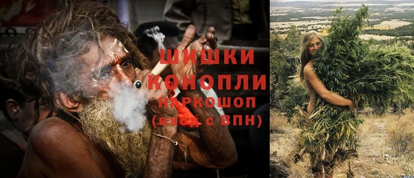 прущие грибы Балабаново