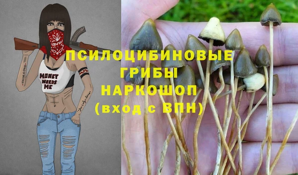 прущие грибы Балабаново