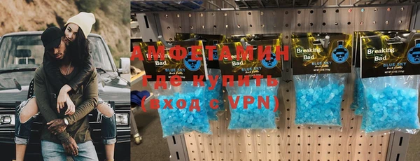 прущие грибы Балабаново