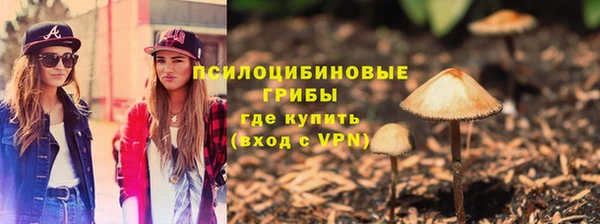 прущие грибы Балабаново