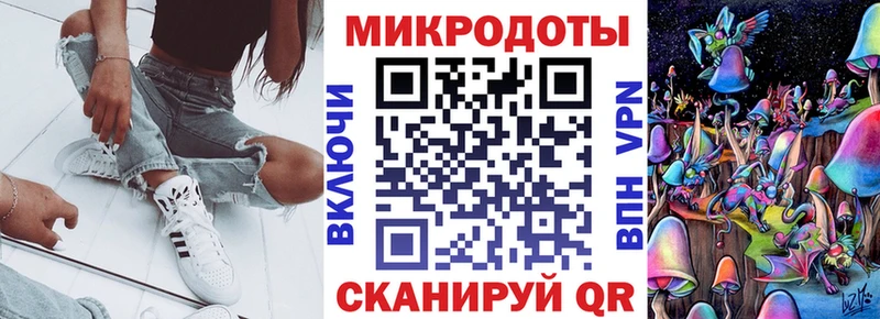 наркотики  Губкин  Галлюциногенные грибы Psilocybe 